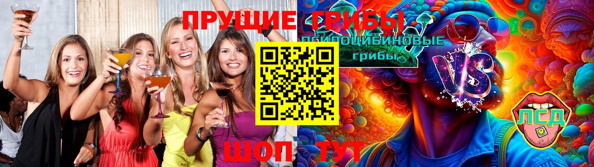 Псилоцибиновые грибы Psilocybine cubensis  Вход с VPN  Курск 