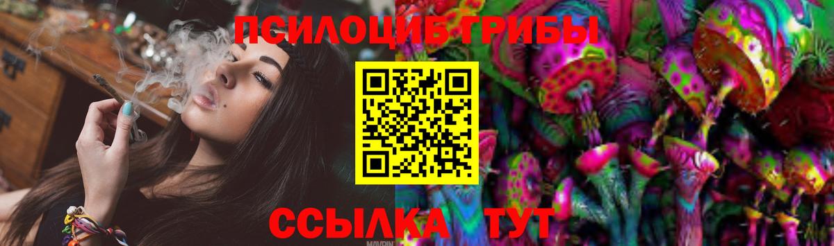 Псилоцибиновые грибы Magic Shrooms Курск